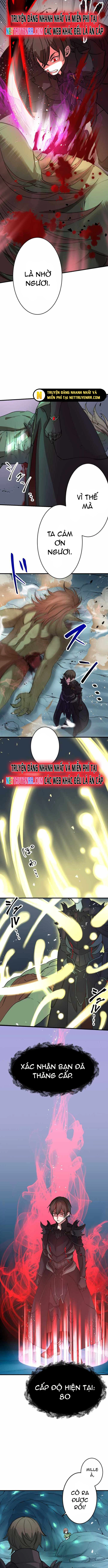 Hấp Thụ Cấp Độ - Chương 5