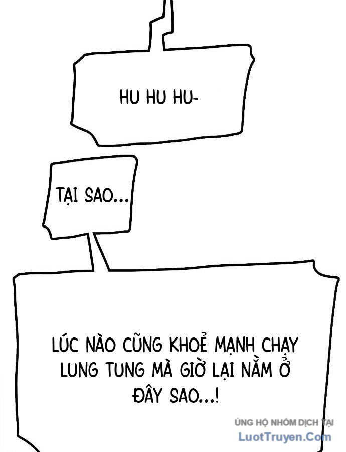 Hổ Giấy - Chương 1