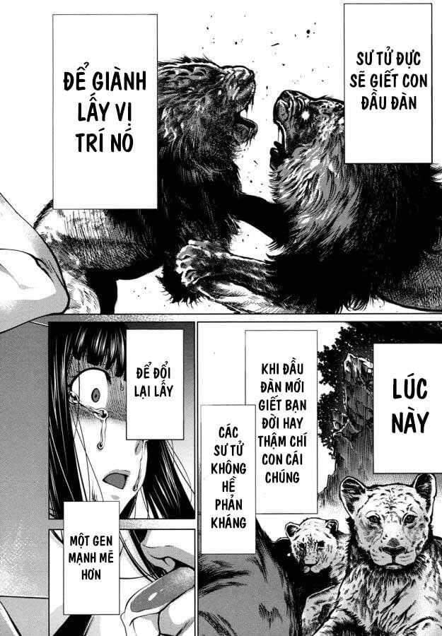 Killing Bites - Chương 30