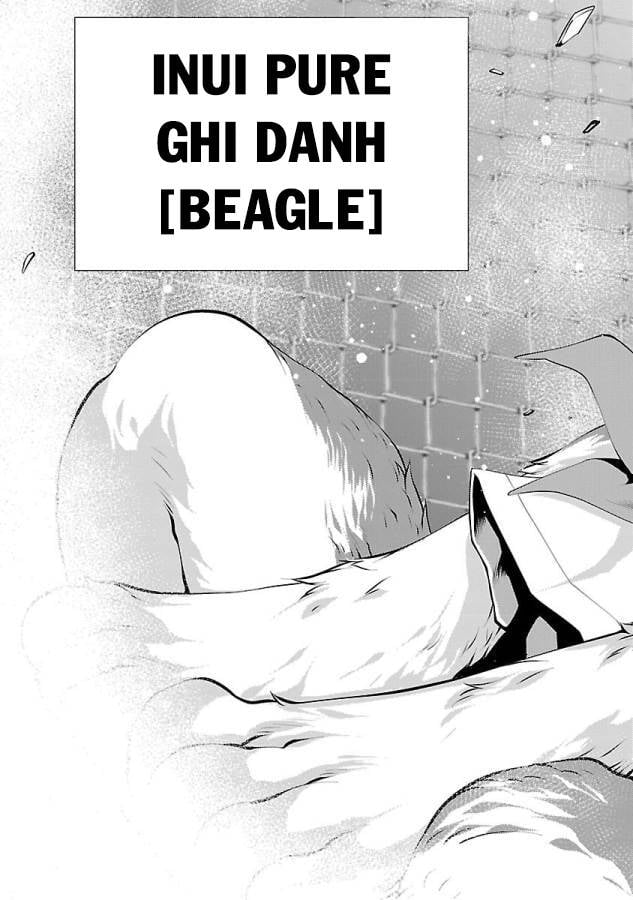 Killing Bites - Chương 31