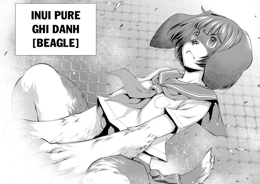 Killing Bites - Chương 31
