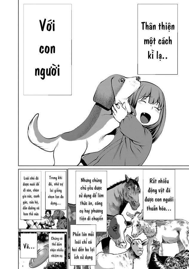 Killing Bites - Chương 34