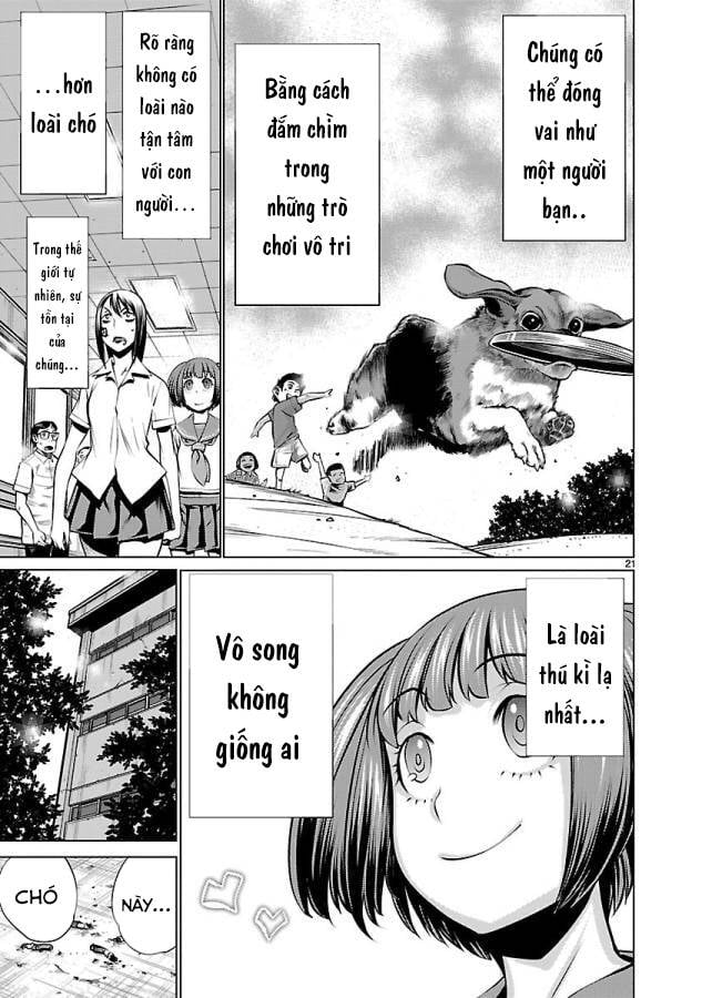Killing Bites - Chương 34