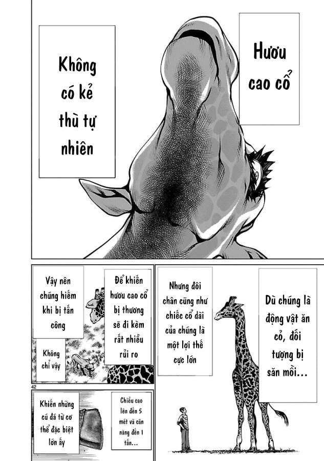 Killing Bites - Chương 34