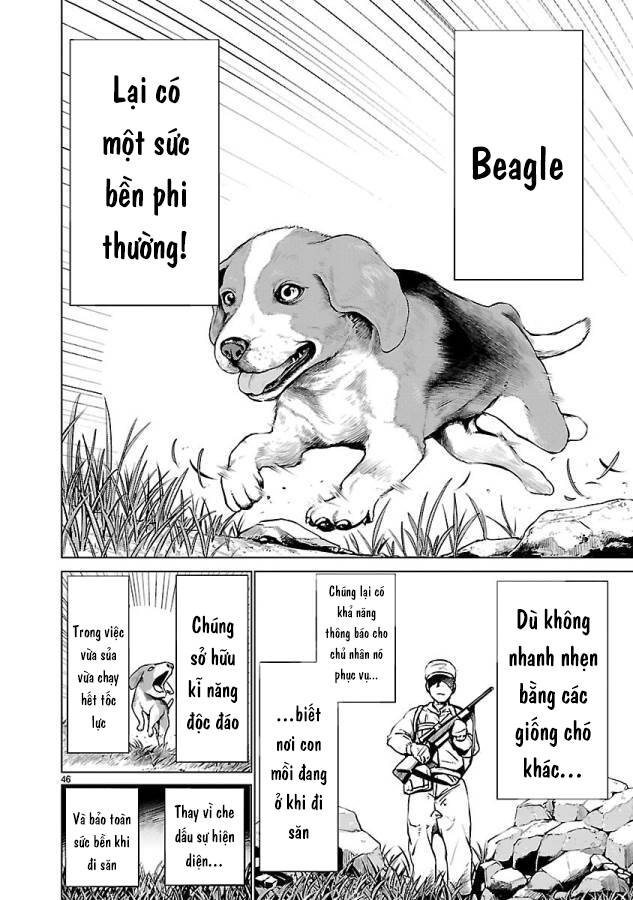 Killing Bites - Chương 34