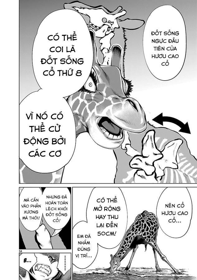Killing Bites - Chương 34