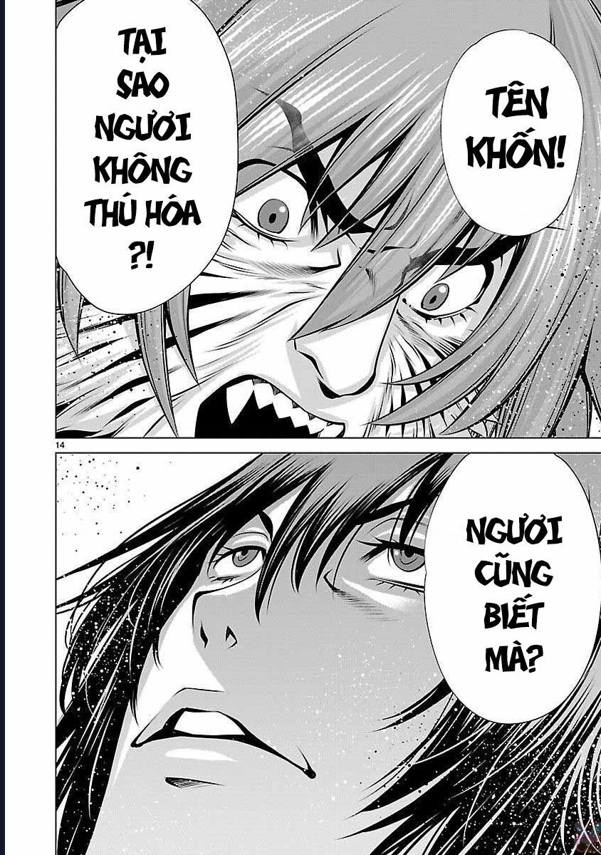 Killing Bites - Chương 41