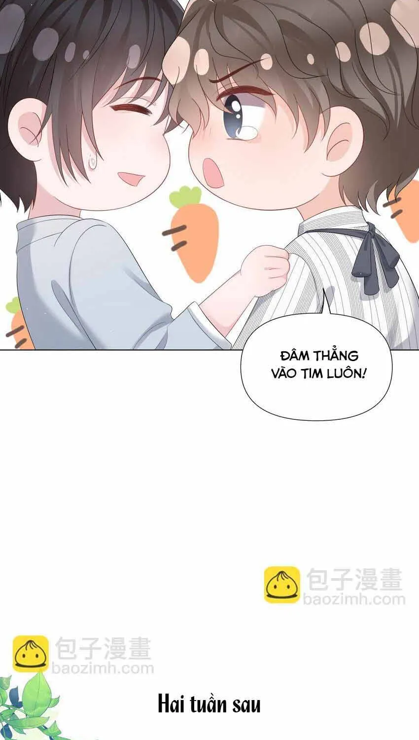 Lấp Lánh - Chương 41