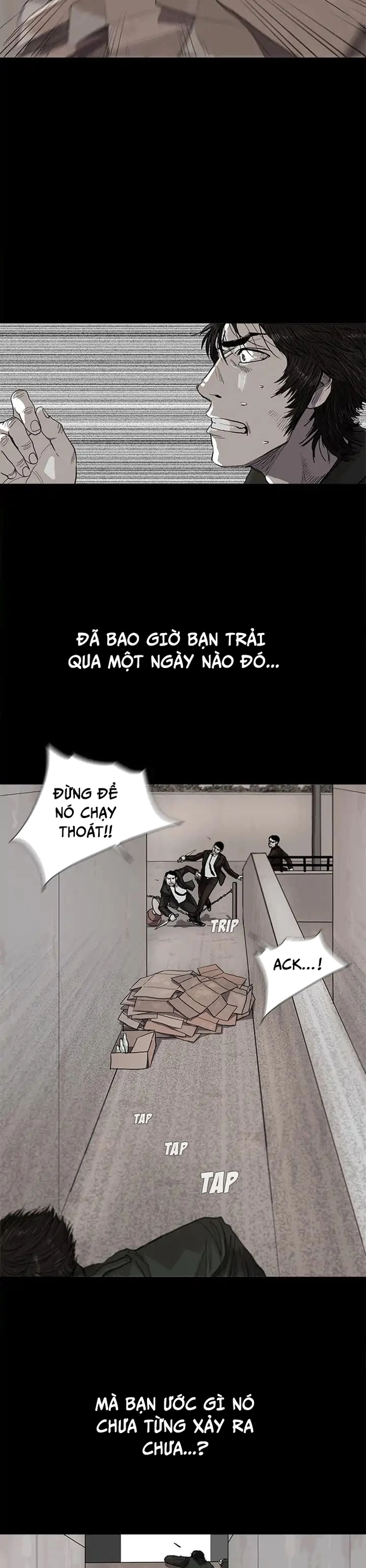Miền Đất Xanh - Chương 3