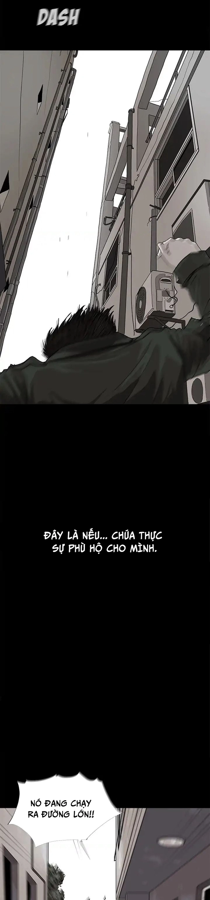 Miền Đất Xanh - Chương 3