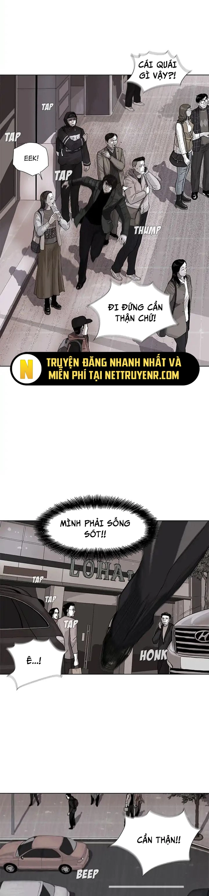 Miền Đất Xanh - Chương 3