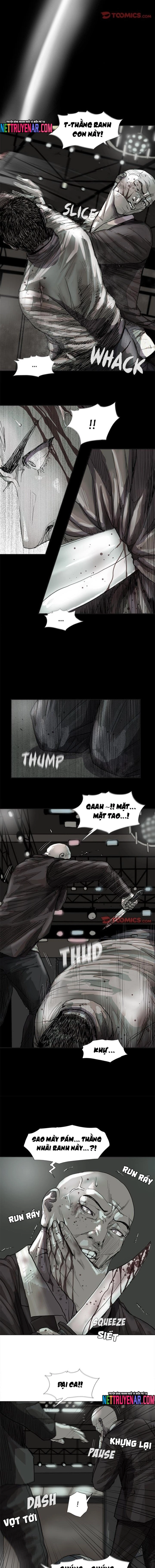 Miền Đất Xanh - Chương 45