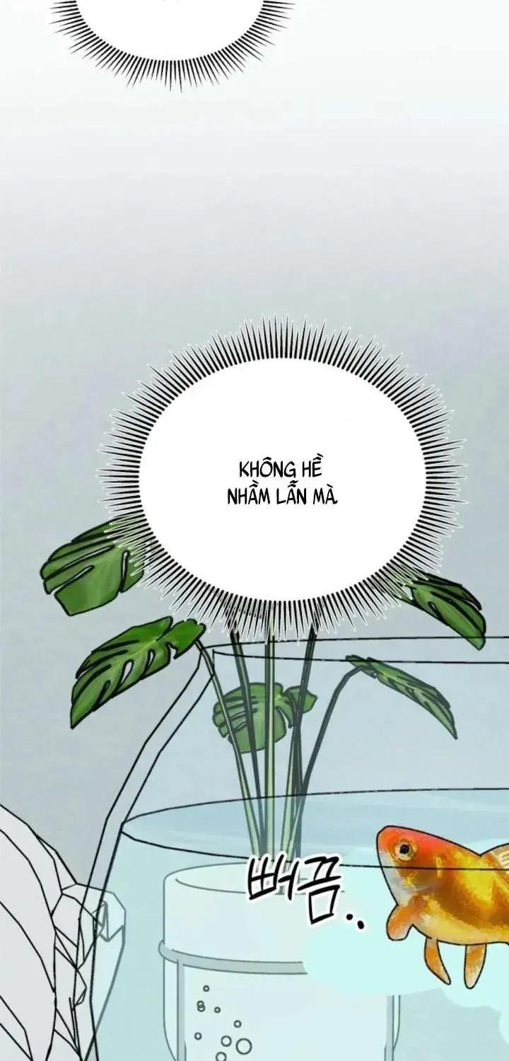 Muốn Bị Lừa Dối - Chương 39