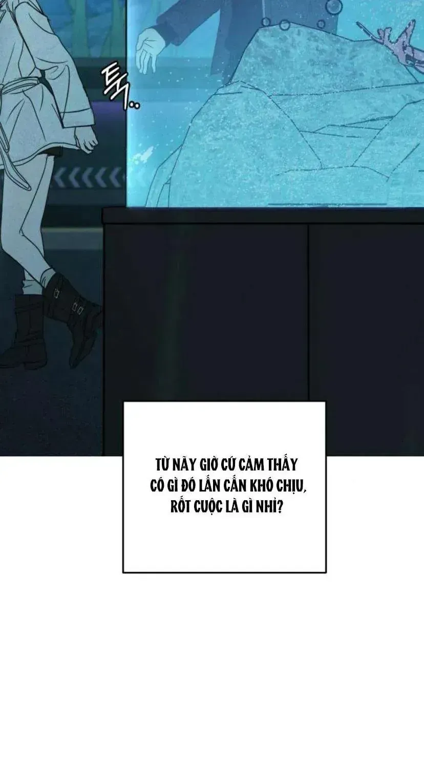 Muốn Bị Lừa Dối - Chương 40