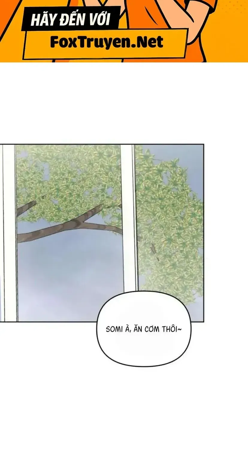 Muốn Bị Lừa Dối - Chương 41