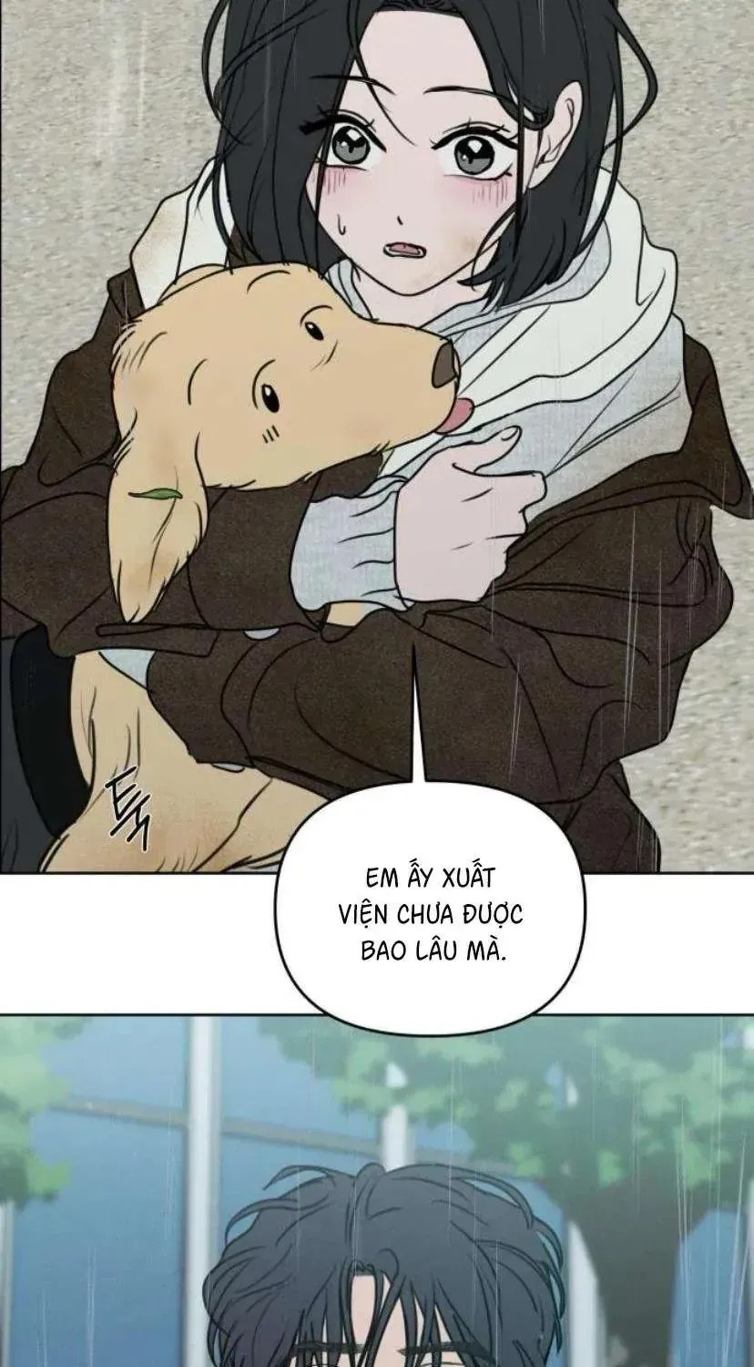 Muốn Bị Lừa Dối - Chương 41