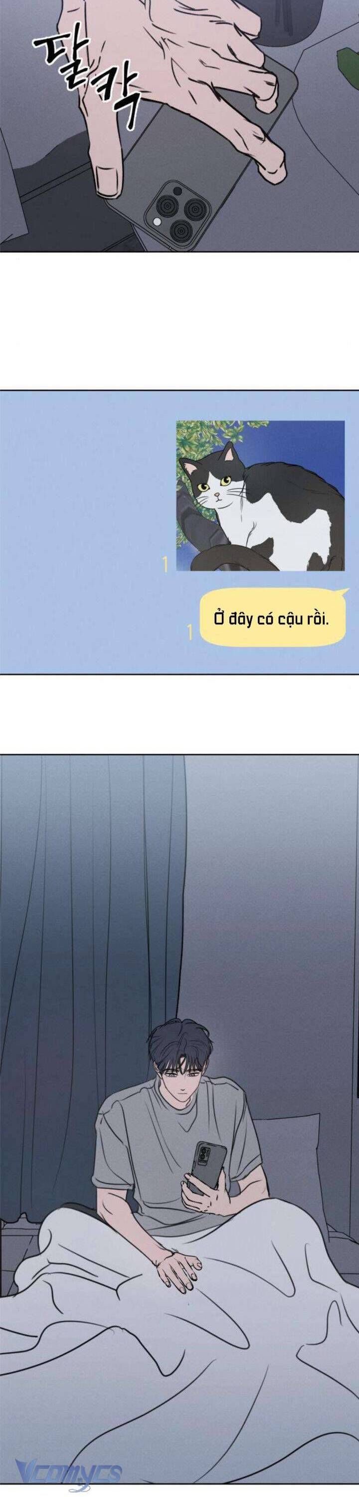 Muốn Được Lừa Dối - Chương 21