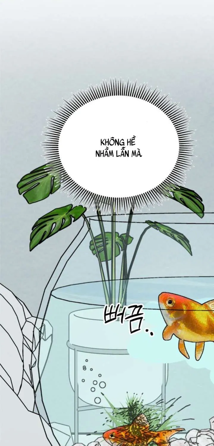 Muốn Được Lừa Dối - Chương 39