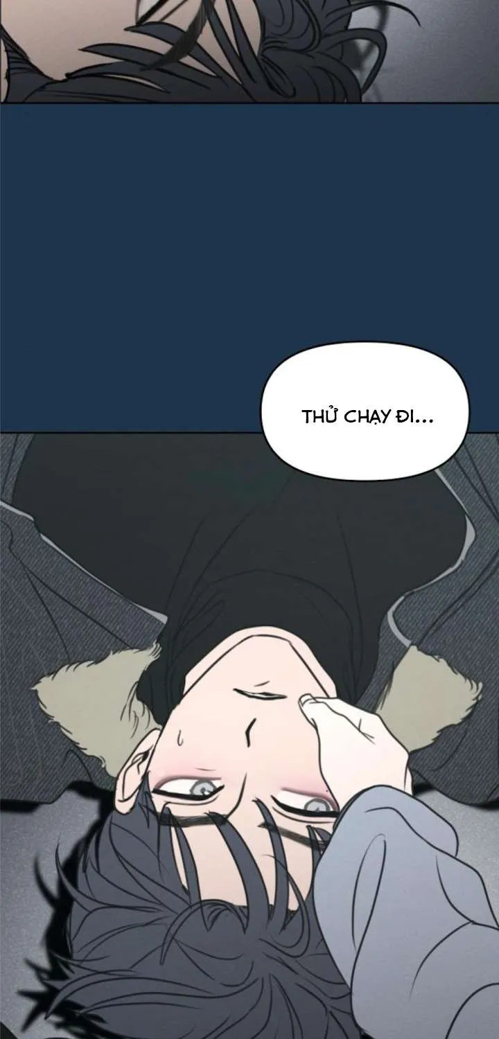 Muốn Được Lừa Dối - Chương 39
