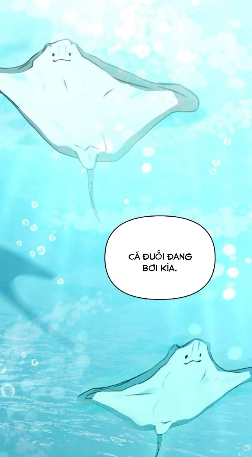 Muốn Được Lừa Dối - Chương 40