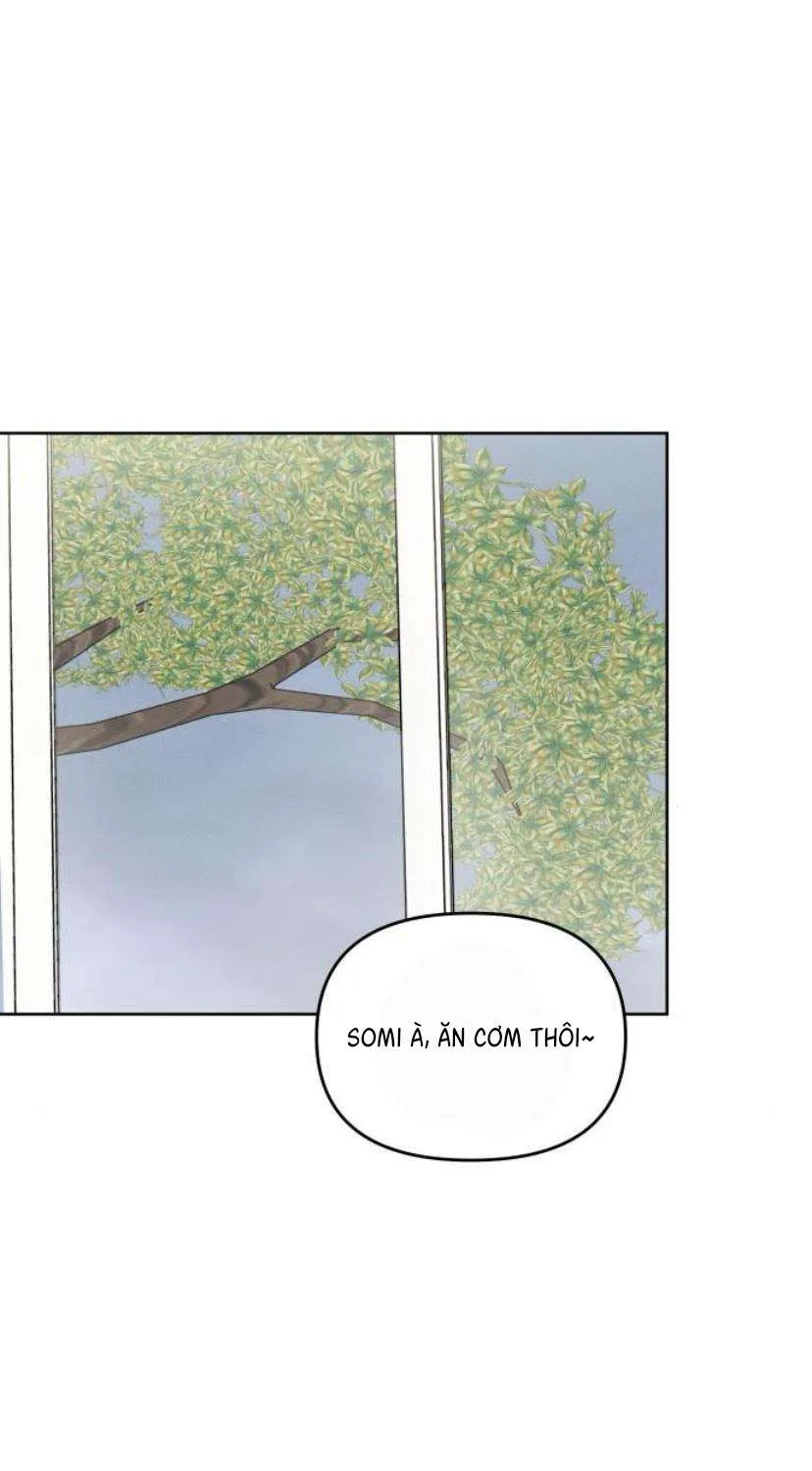 Muốn Được Lừa Dối - Chương 41