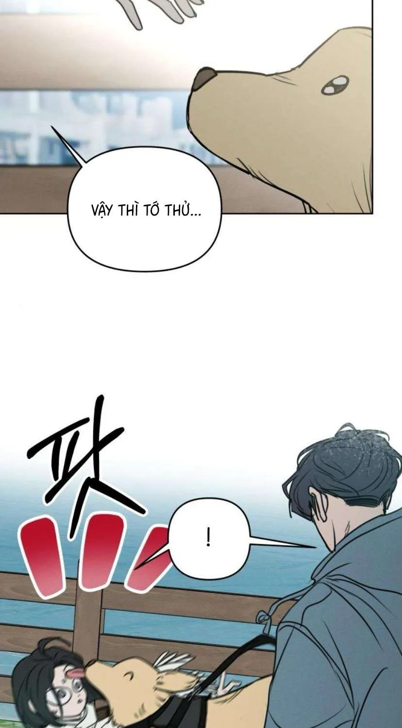 Muốn Được Lừa Dối - Chương 41