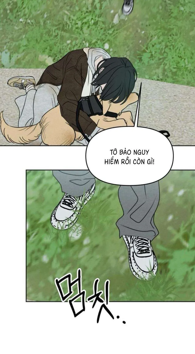 Muốn Được Lừa Dối - Chương 41