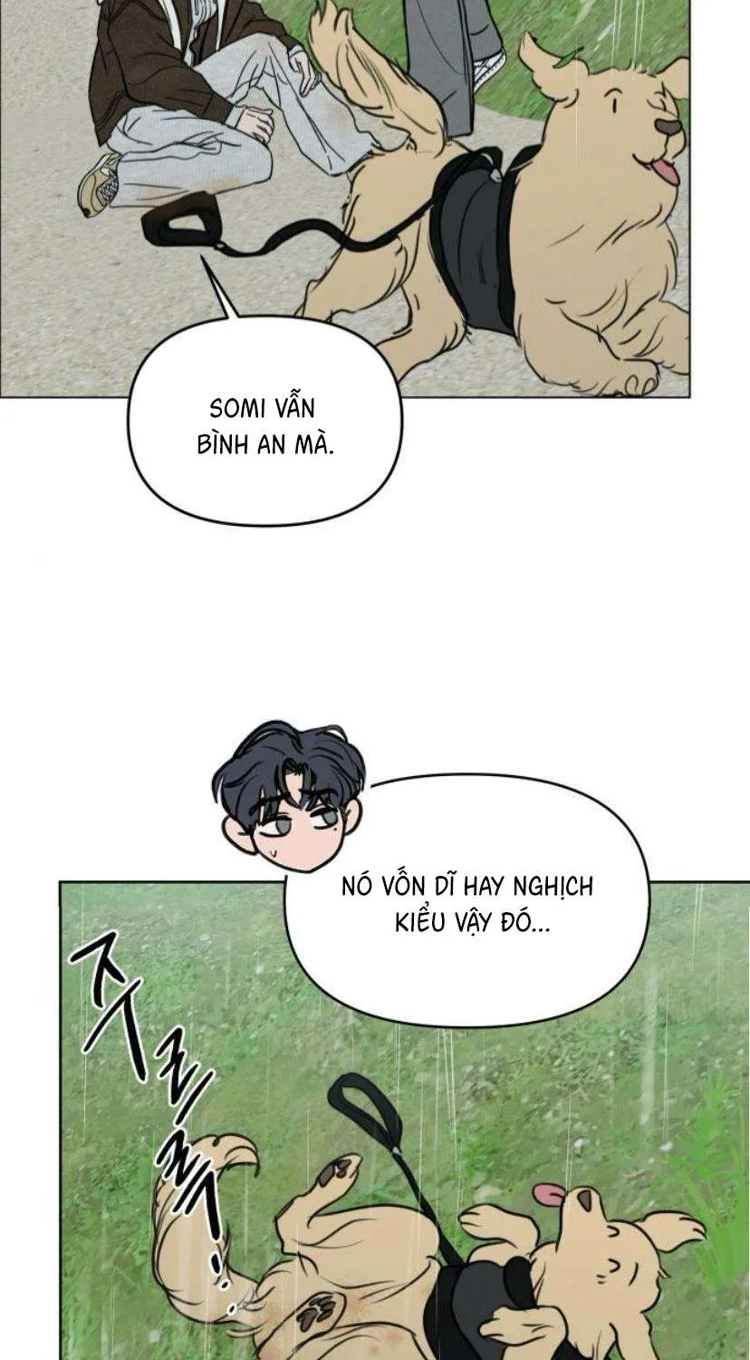 Muốn Được Lừa Dối - Chương 41