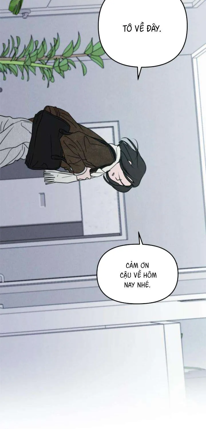 Muốn Được Lừa Dối - Chương 42
