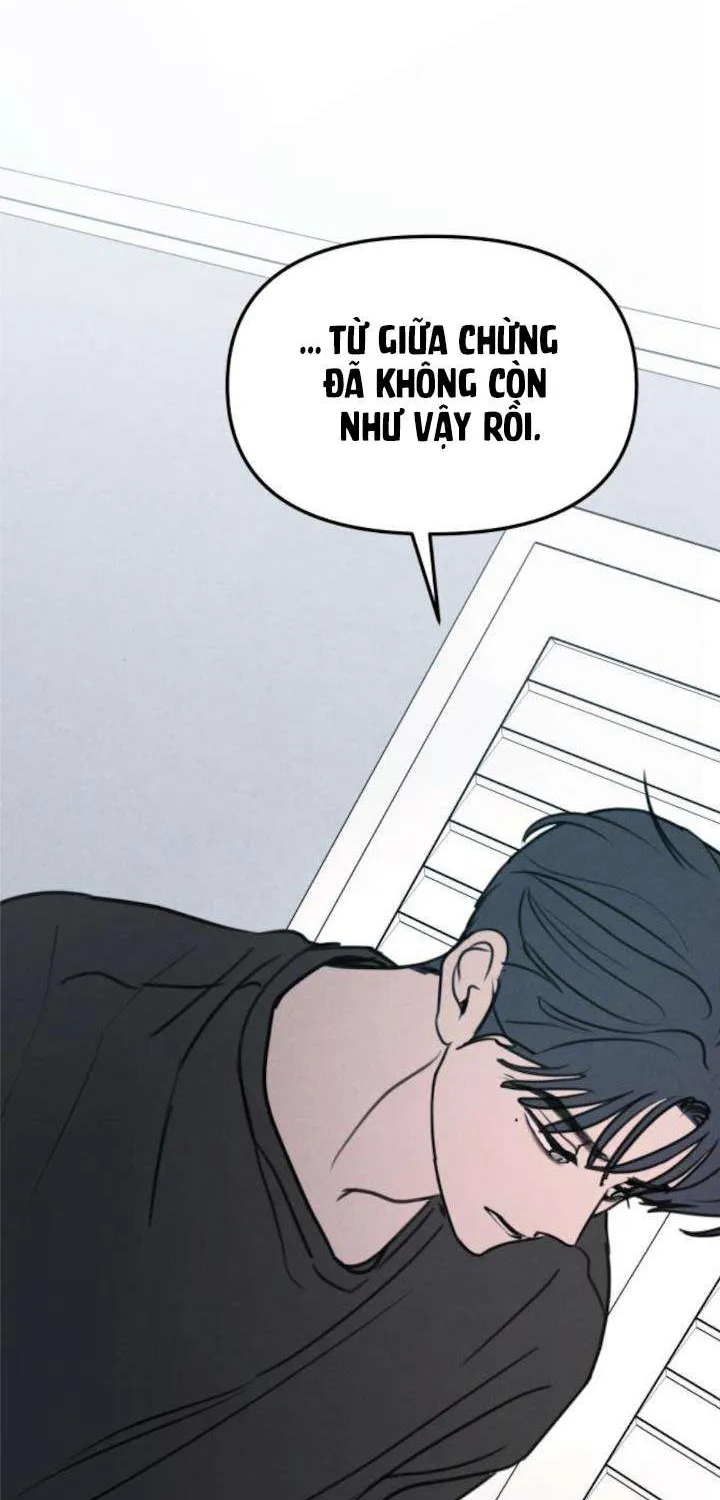 Muốn Được Lừa Dối - Chương 43