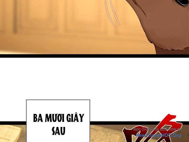 Chàng Rể Mạnh Nhất Lịch Sử - Chương 325