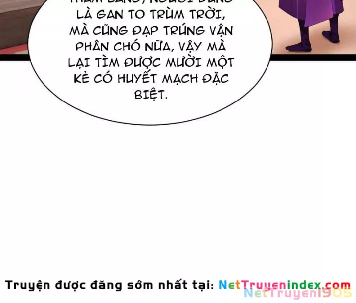 Chàng Rể Mạnh Nhất Lịch Sử - Chương 337