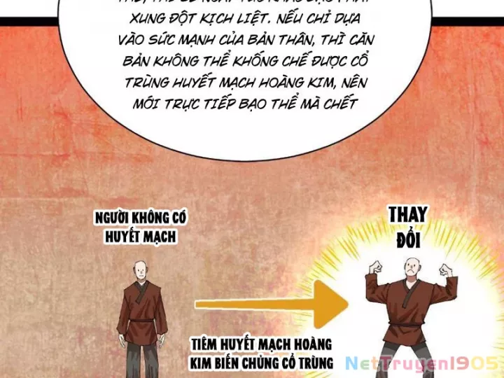 Chàng Rể Mạnh Nhất Lịch Sử - Chương 339