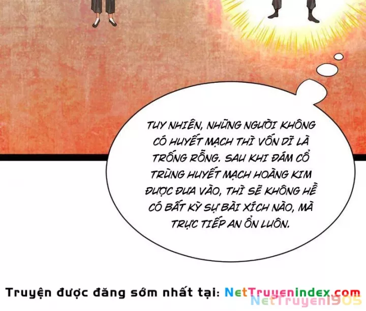 Chàng Rể Mạnh Nhất Lịch Sử - Chương 339