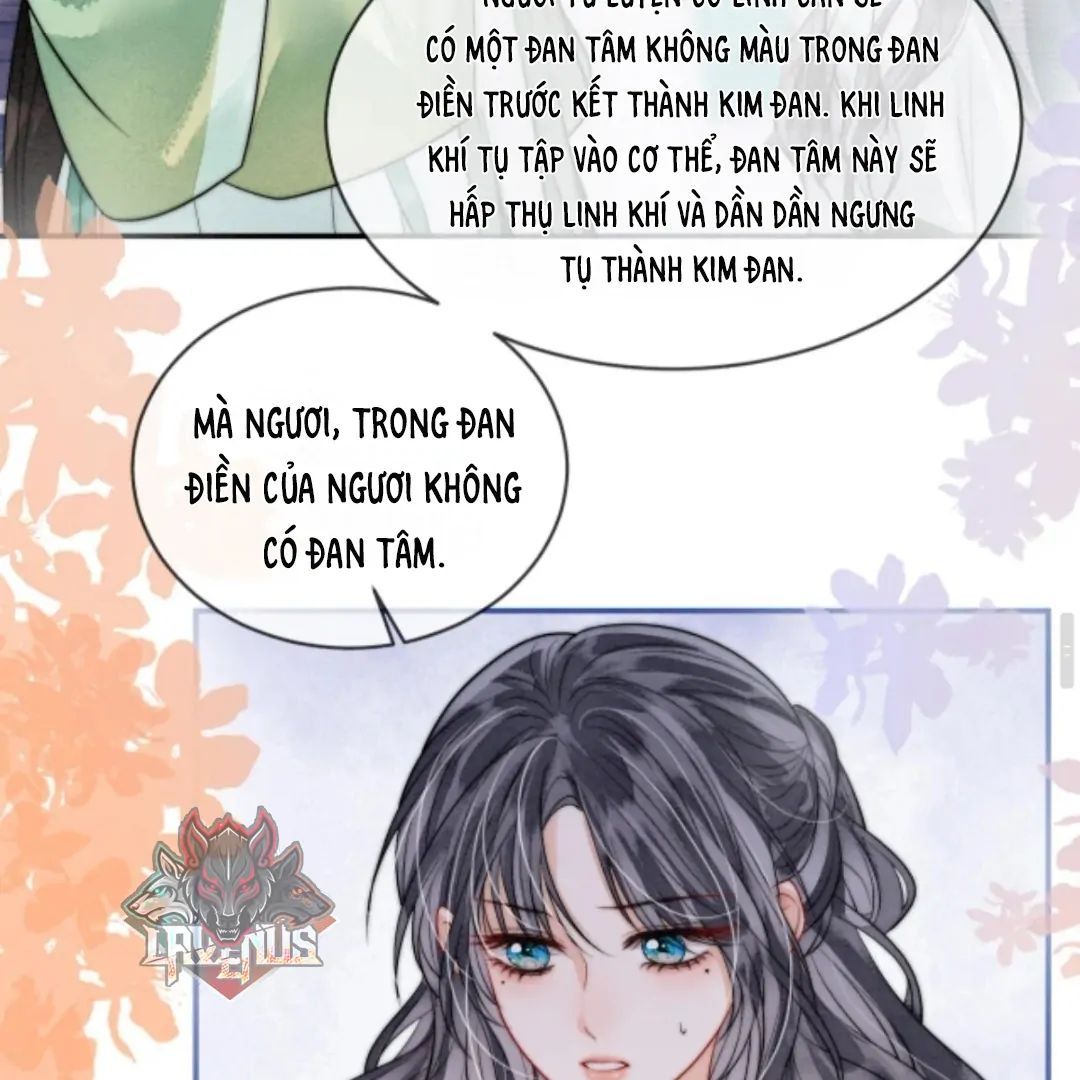 Nhập Hải - Chương 13