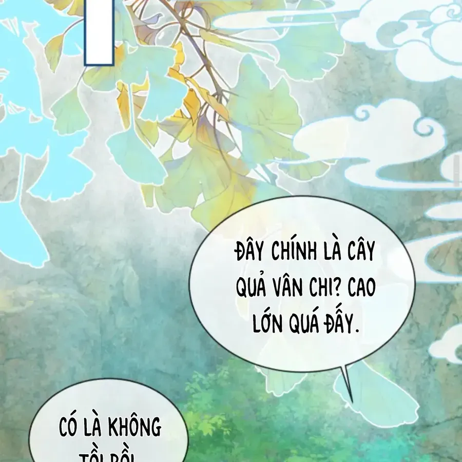 Nhập Hải - Chương 15
