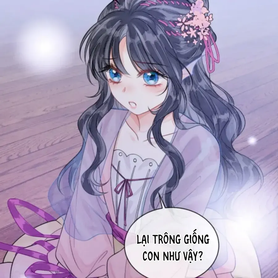 Nhập Hải - Chương 19