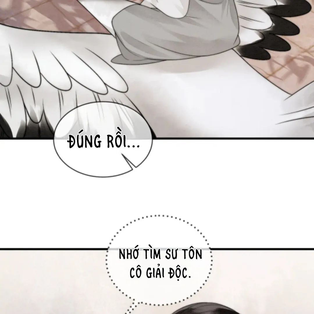 Nhập Hải - Chương 8