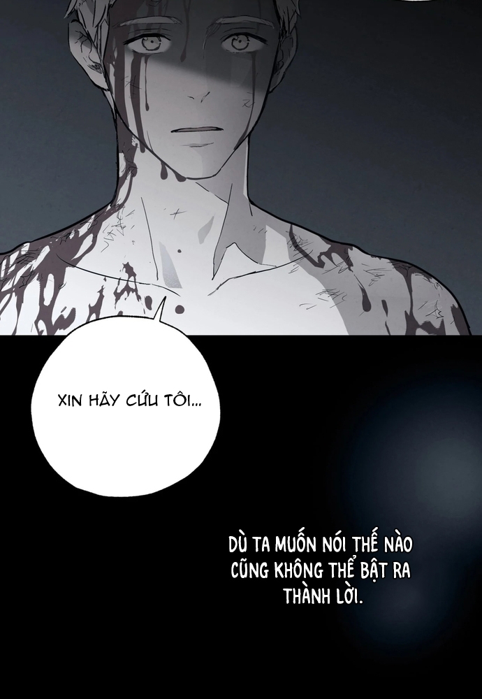 Pha Lê Xanh - Chương 50