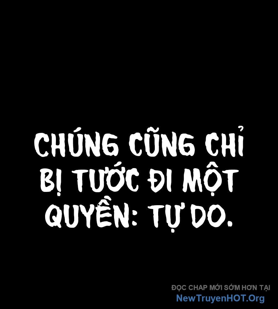 ROUND - Chương 1