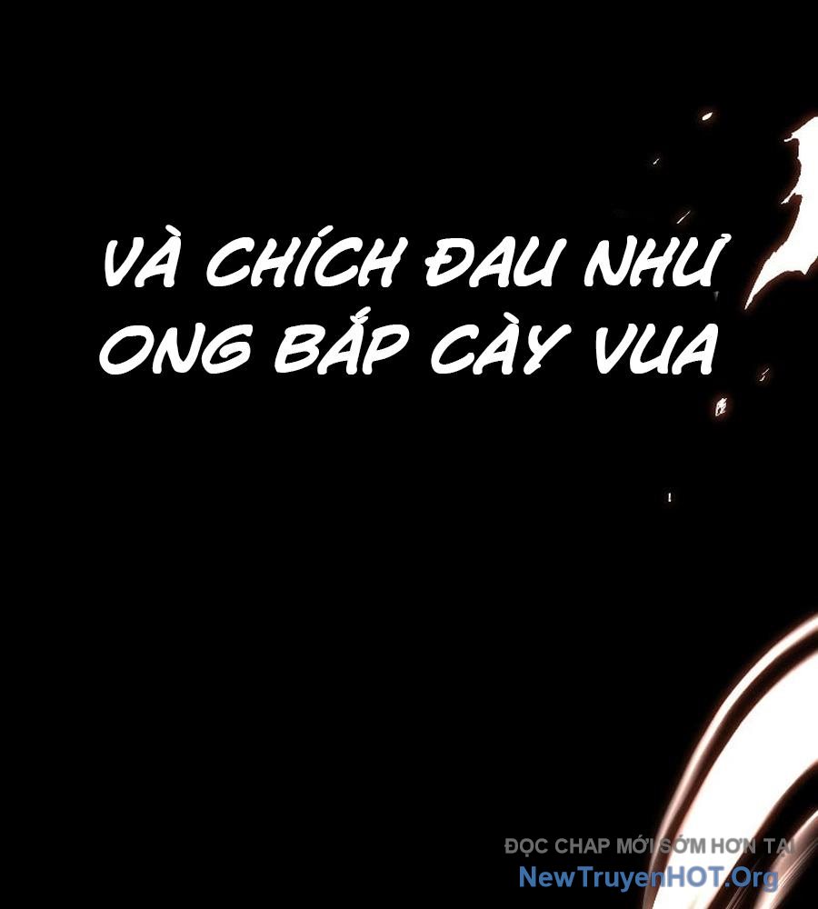 ROUND - Chương 12