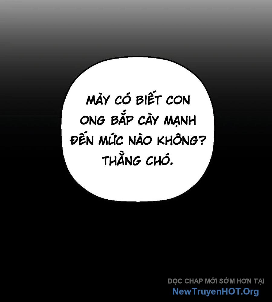 ROUND - Chương 12