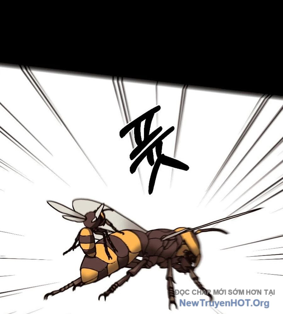 ROUND - Chương 12