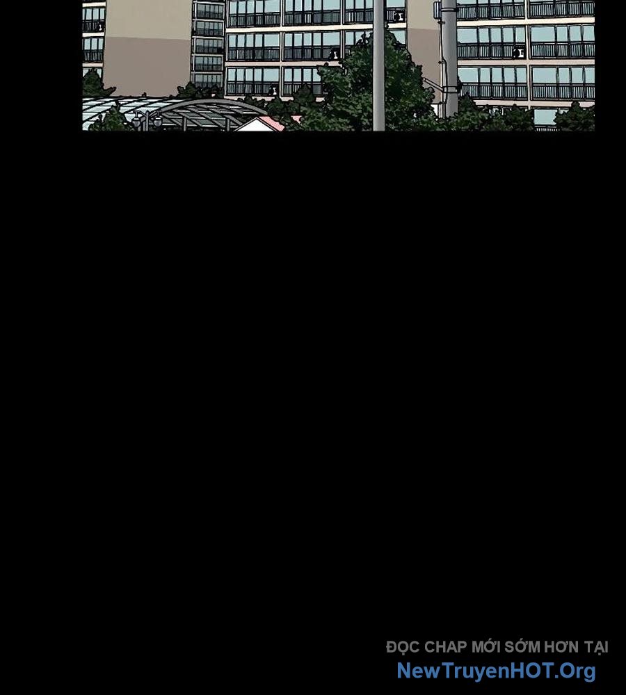 ROUND - Chương 8