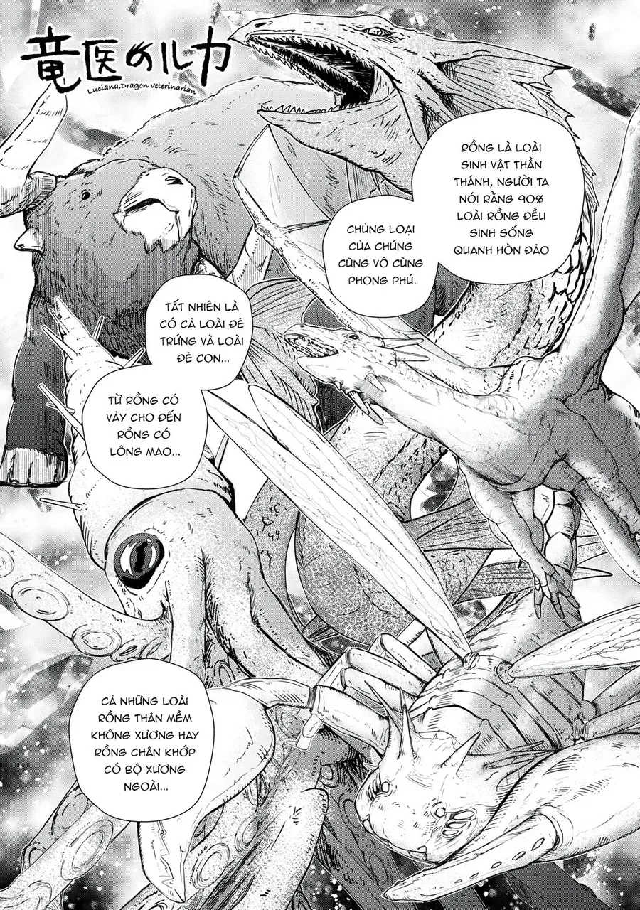 Ryuui No Luca - Chương 2