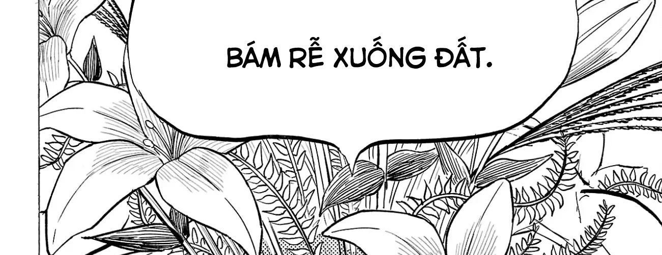 Sanda - Chương 89