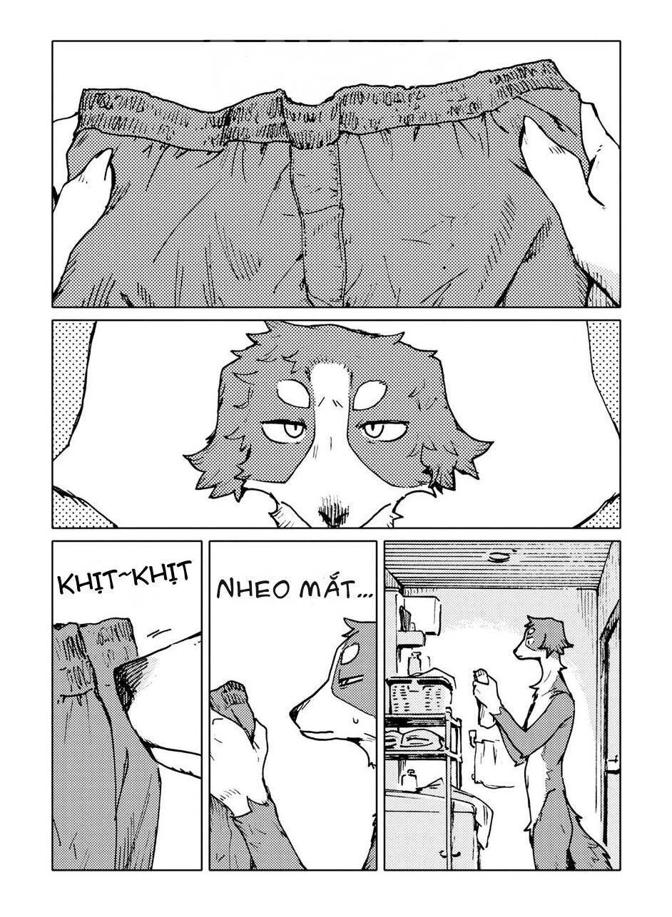 Smell - Chương 2