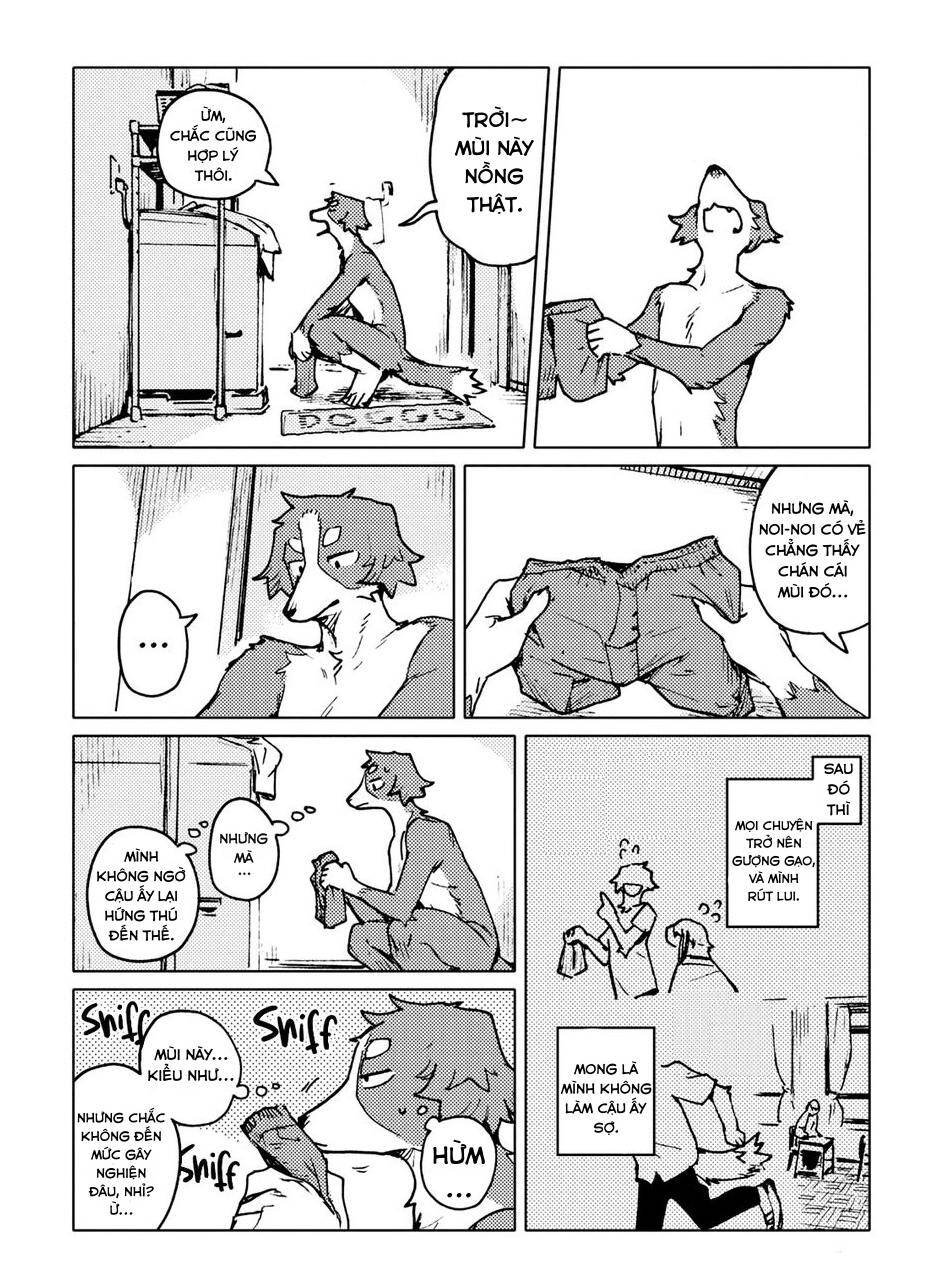 Smell - Chương 2