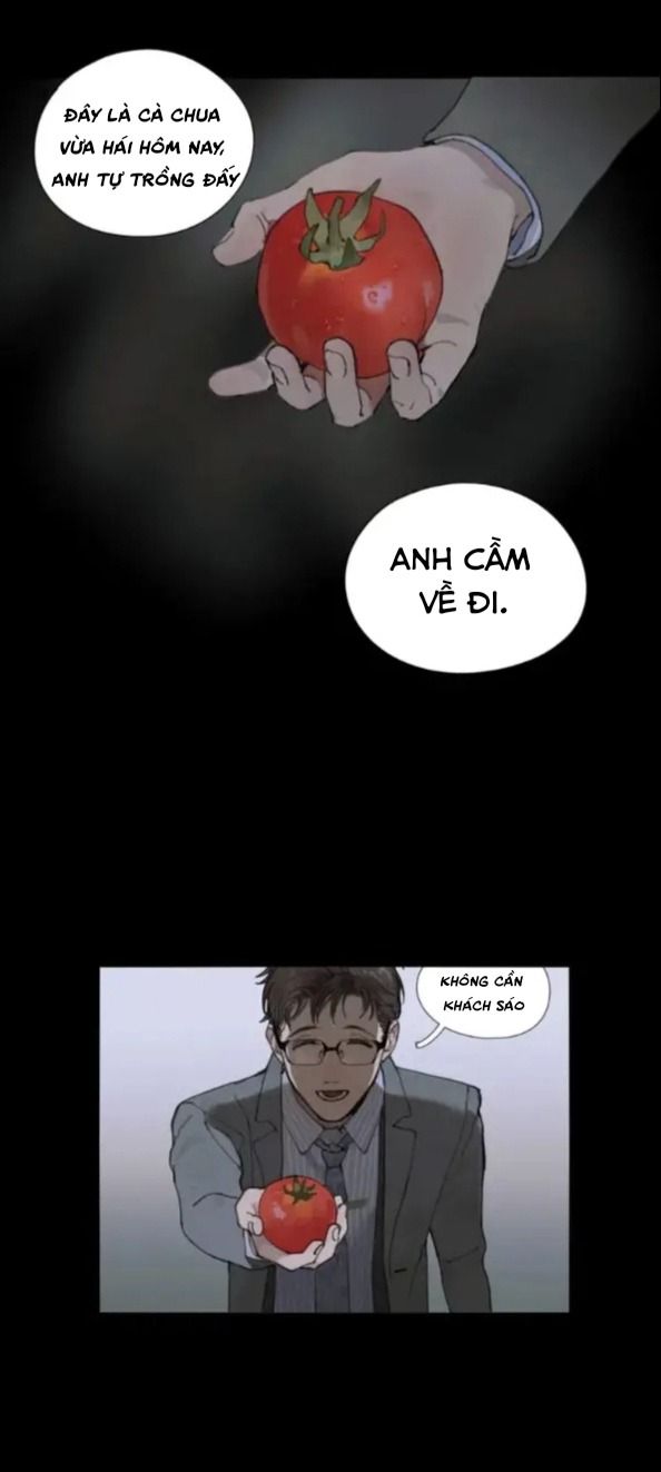 Tơ Nhện - Chương 2