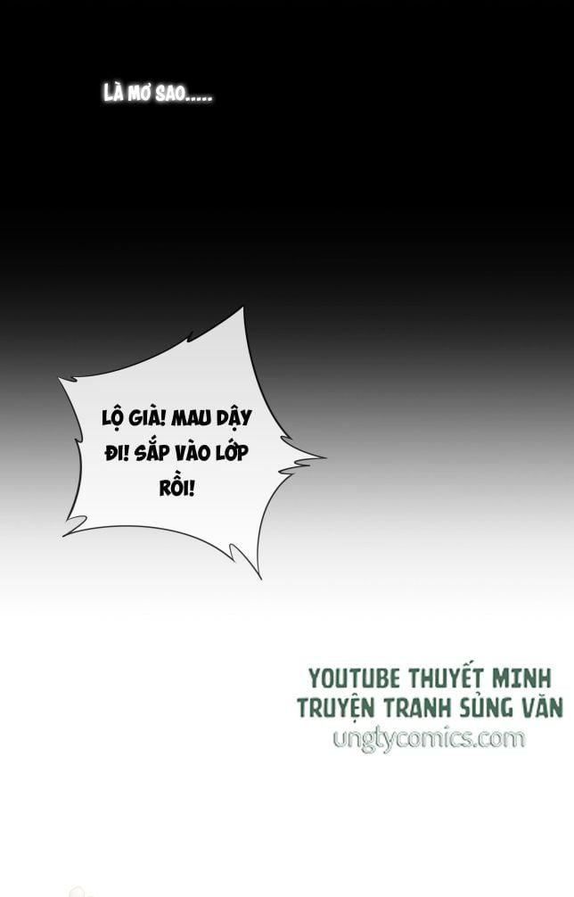 Tri Bỉ - Chương 19